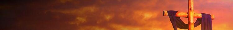 Bamboo banner Bamboo banner